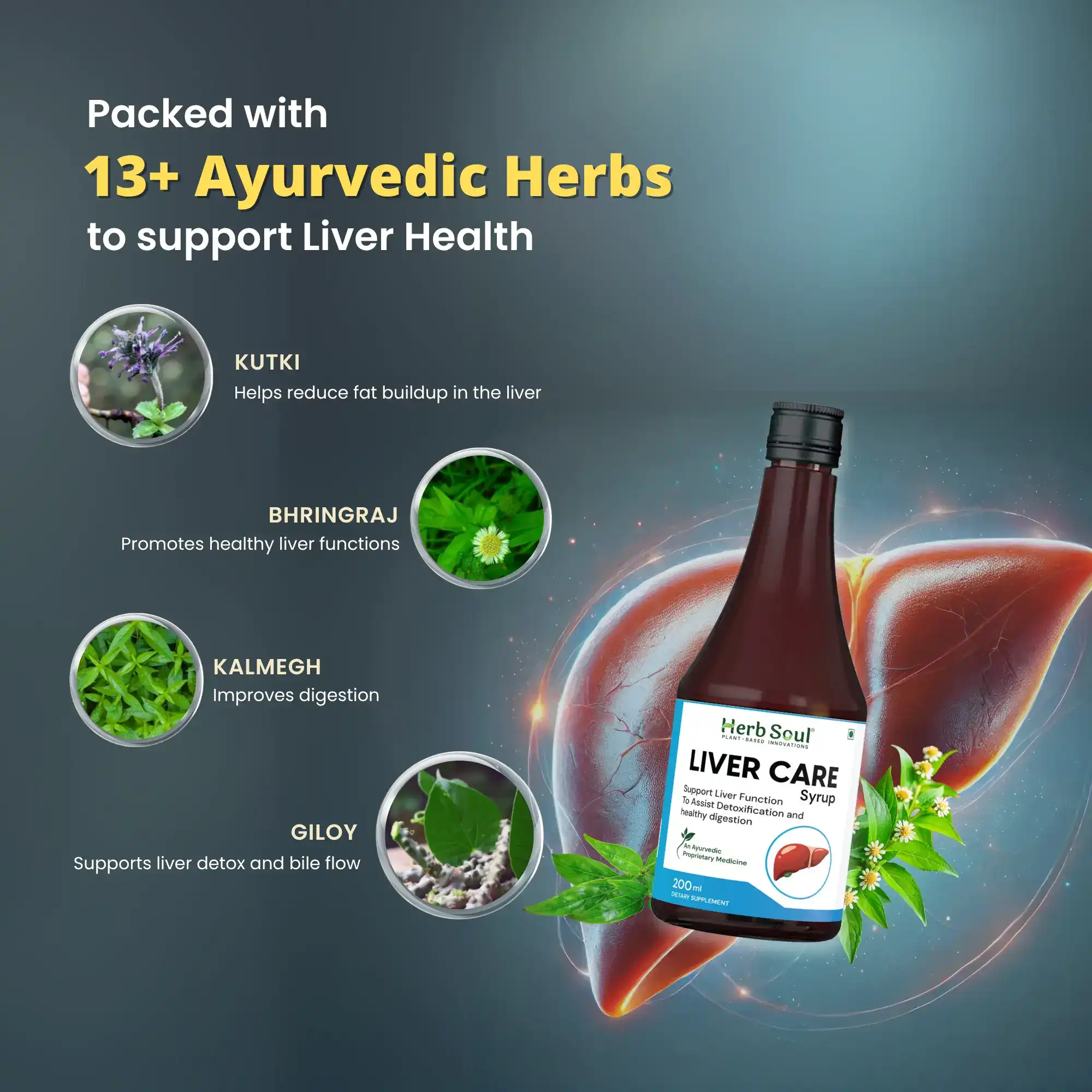 Liver Care Syrup Ingredients