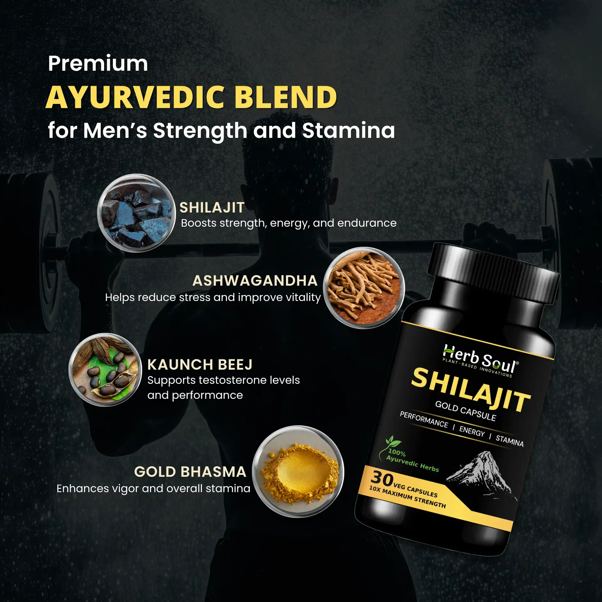 Shilajit Gold Capsule Ingredients